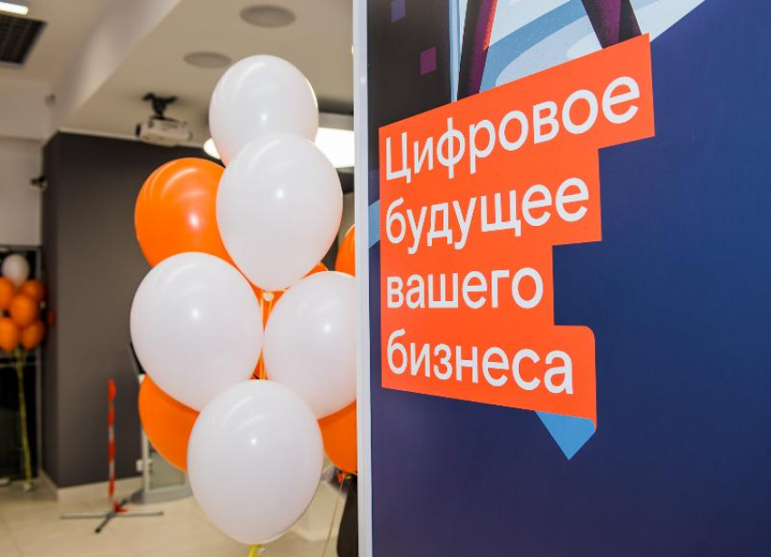 Цифровой дозор: количество кибератак на организации Юга увеличилось на 16% с начала февраля