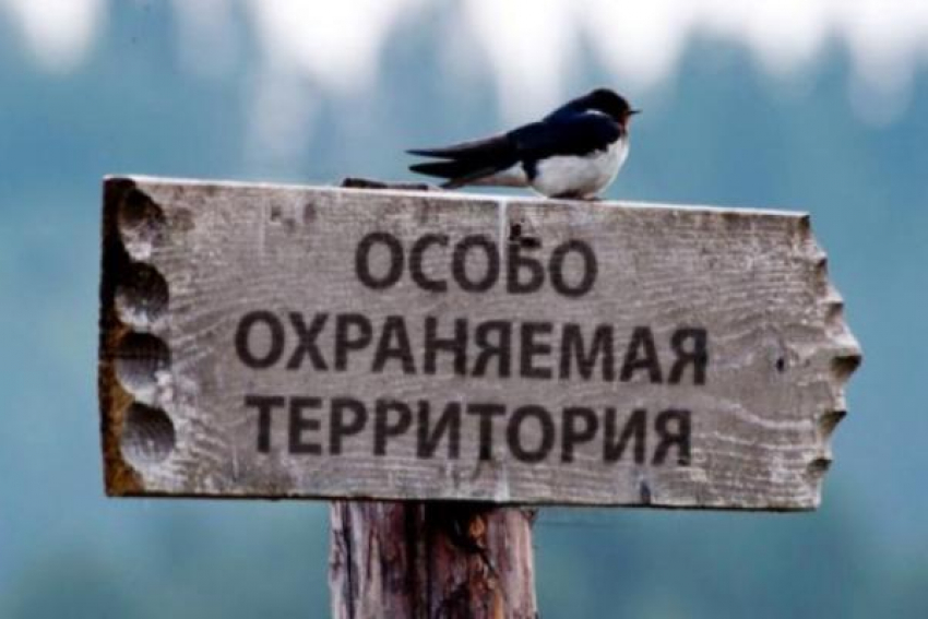 Семнадцать незаконных строений выявили на КМВ