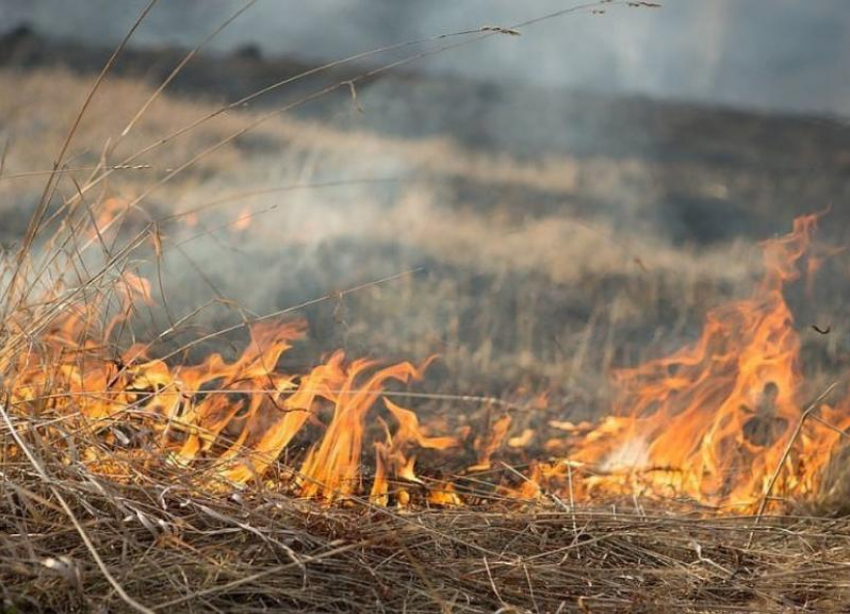В некоторых районах Ставрополья объявлен режим чрезвычайной пожароопасности