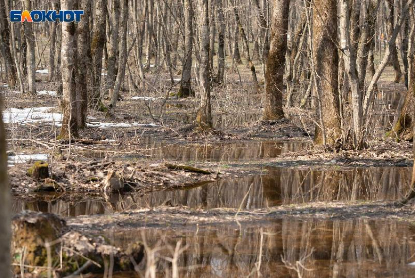 Небольшое потепление до +5 градусов вернется на Ставрополье 28 января