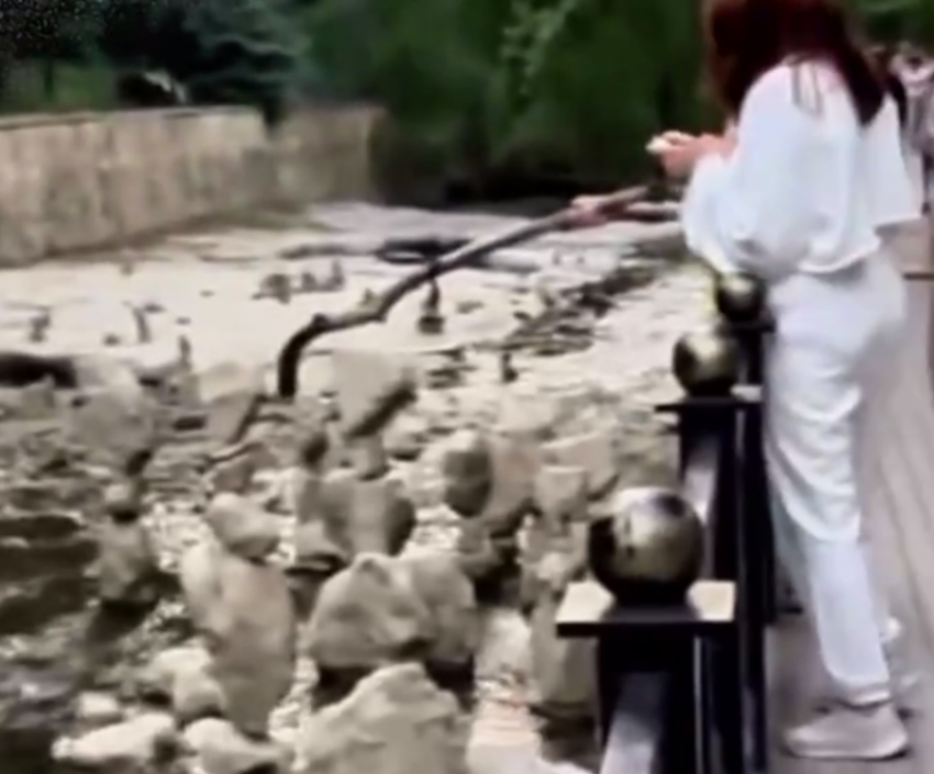 Изваяния местного мастера сломали в Кисловодске отдыхающие