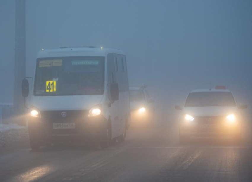 Заморозки и сильный ветер обещают синоптики на следующей неделе в Ставрополе