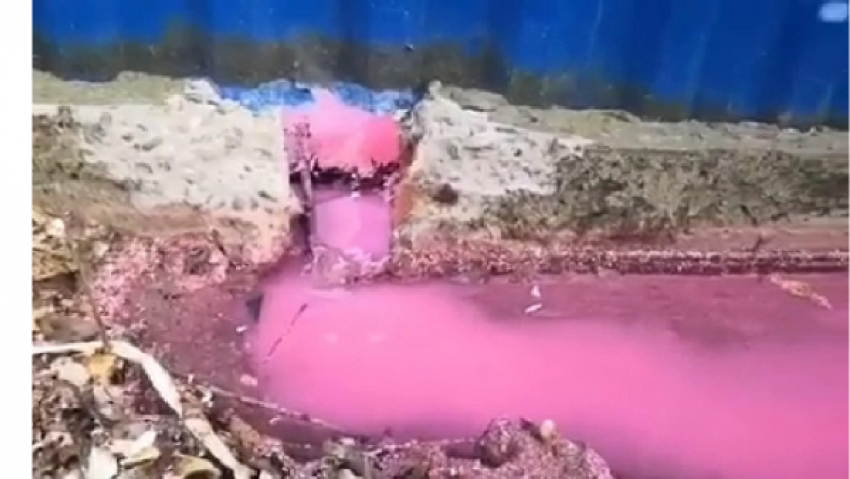 Ярко-розовые реки отравляют жителей Ставрополья