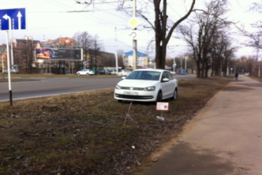 Паркующимися на газоне возле университета автохамами возмутился ставрополец