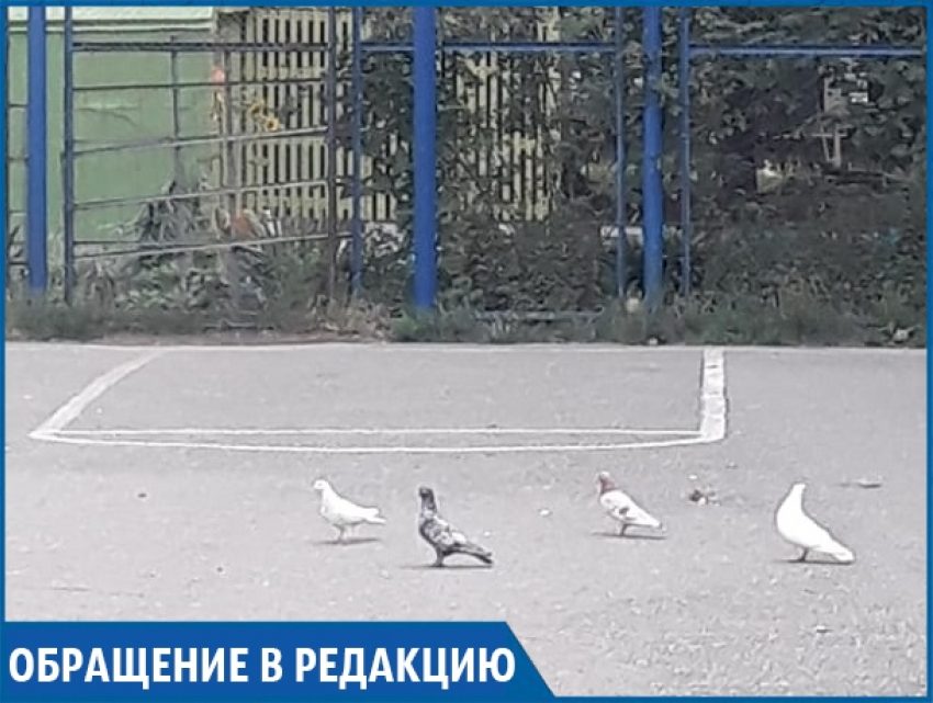 «Детям теперь негде играть»: в одном из дворов Ставрополя женщина вырезала футбольные ворота 