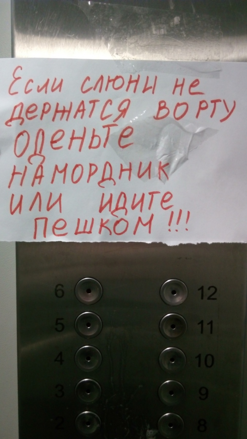 «Подумайте о переезде в свинарник!», - житель Ставрополя соседям