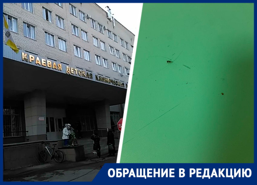 Фото тараканника в онкологии при детской больнице Ставрополя прислали в «Блокнот»