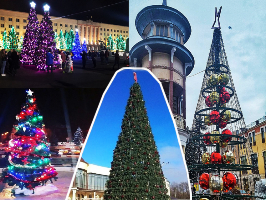 Оцени, какая из елок Ставрополья круче