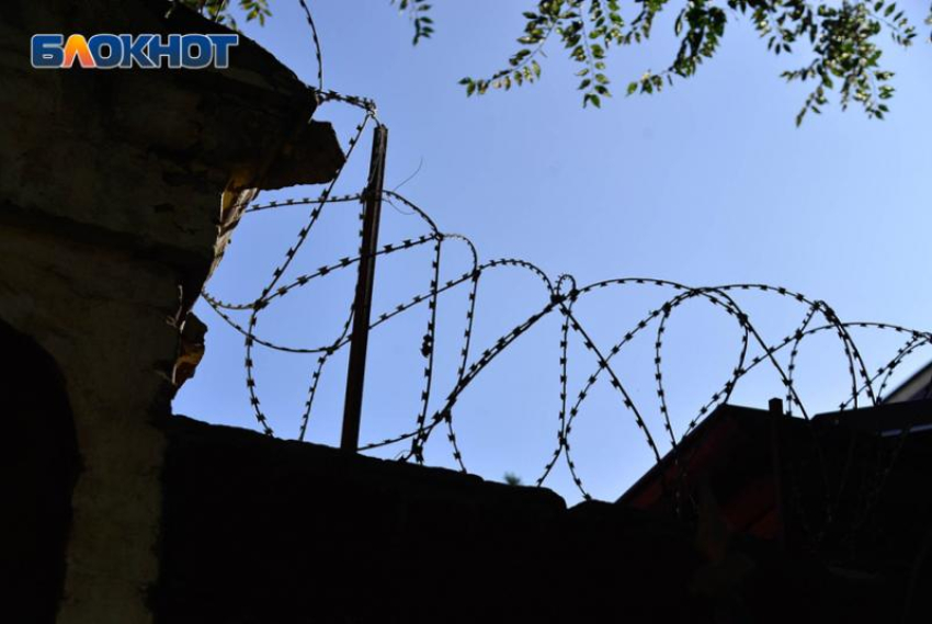Житель Ставрополья обвинил соседку в убийстве кота и задушил женщину из-за мести