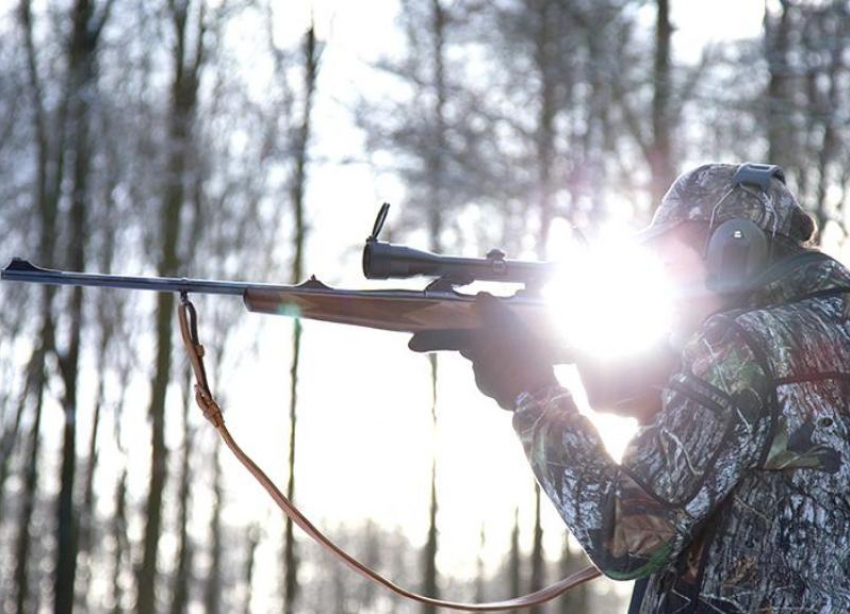 На Ставрополье поймали возможных убийц двух оленей в заказнике