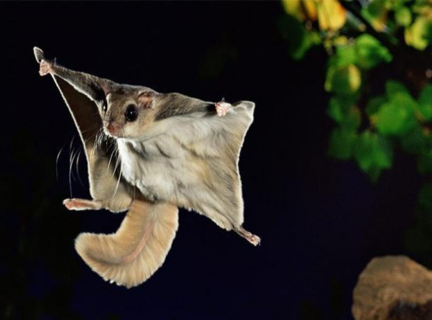 Порывы штормового ветра и пасмурная погода ожидаются в субботу на Ставрополье