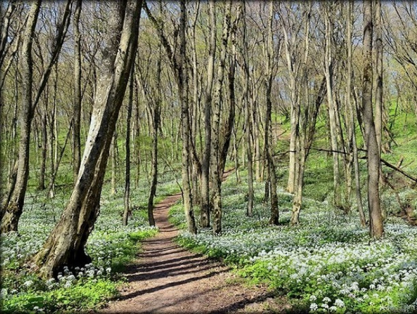 Тёплый и солнечный день ожидает ставропольчан в четверг