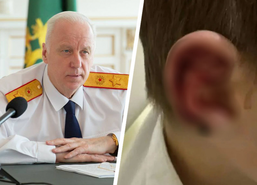 Глава Следкома России потребовал доклад после нападения собак на детей в Минеральных Водах