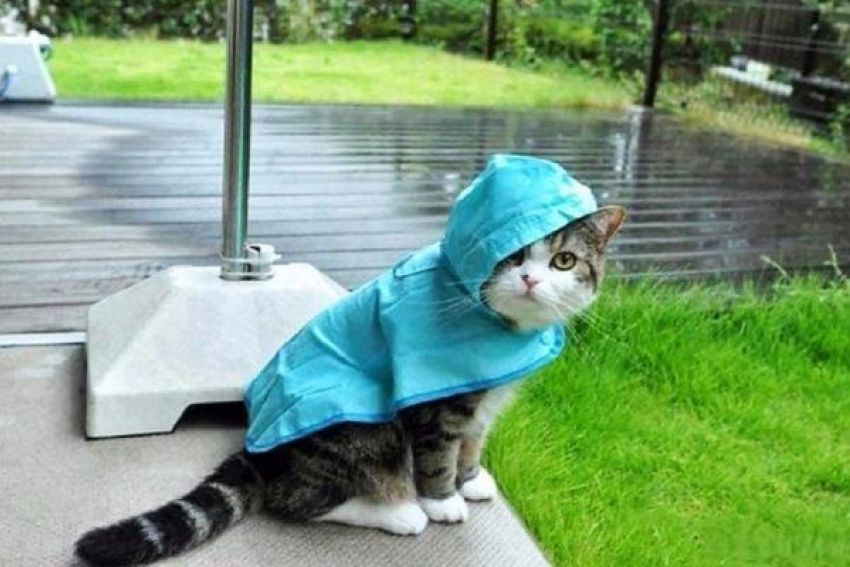Дождливая погода пришла в Ставрополь