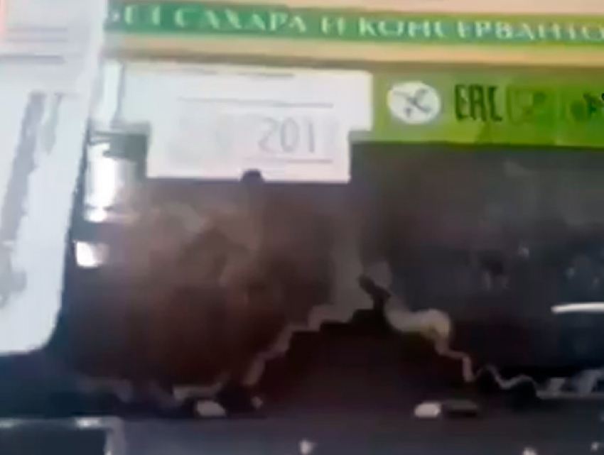 Конфеты с непонятными личинками попали на видео в сети супермаркетов Ставрополя