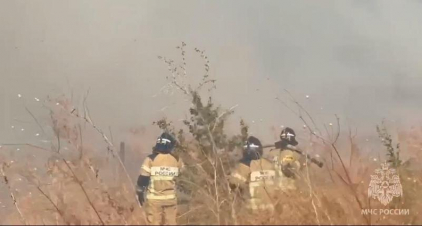 Нулевая видимость, 19 эвакуированных: что известно о сильном пожаре в 50 гектаров на Ставрополье 
