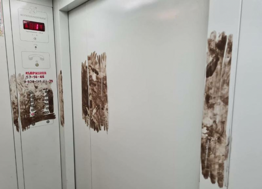 «По лицу бы размазать»: неизвестные измазали лифт на юге Ставрополя «экскрементами»