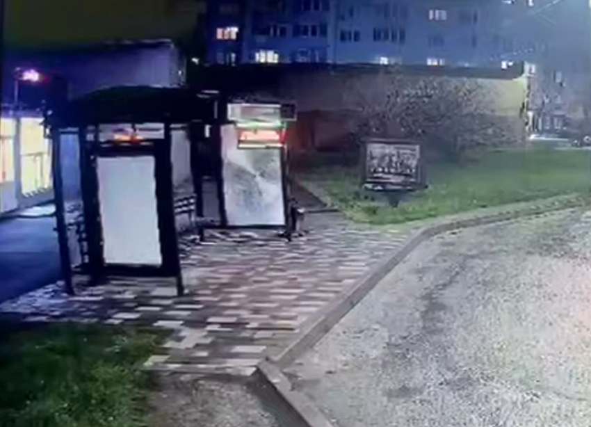 Неизвестный решил расстрелять остановку в Железноводске: видео