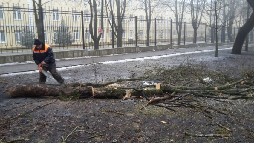  На ликвидацию последствий урагана в Ставрополе могут выделить деньги из краевого бюджета 