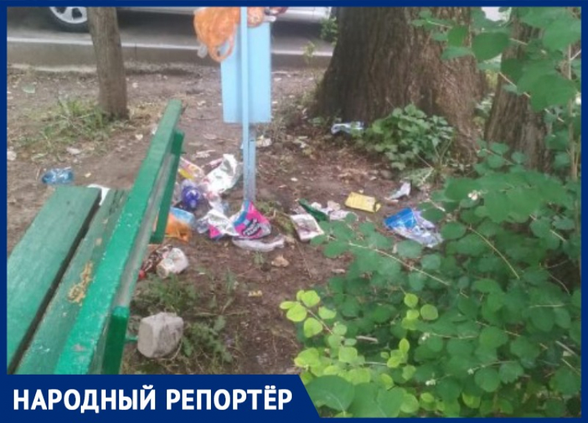 Свалка в центре Ставрополя возмутила местную жительницу