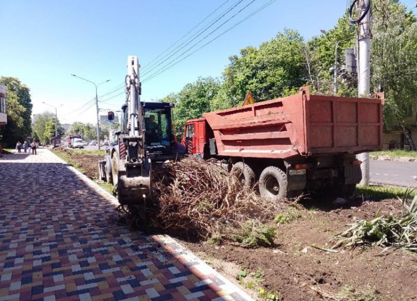 Между клумбой и велодорожкой администрация Ставрополя выбрала последнюю