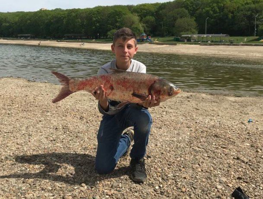Огромную рыбину поймал школьник в Комсомольском пруду Ставрополя