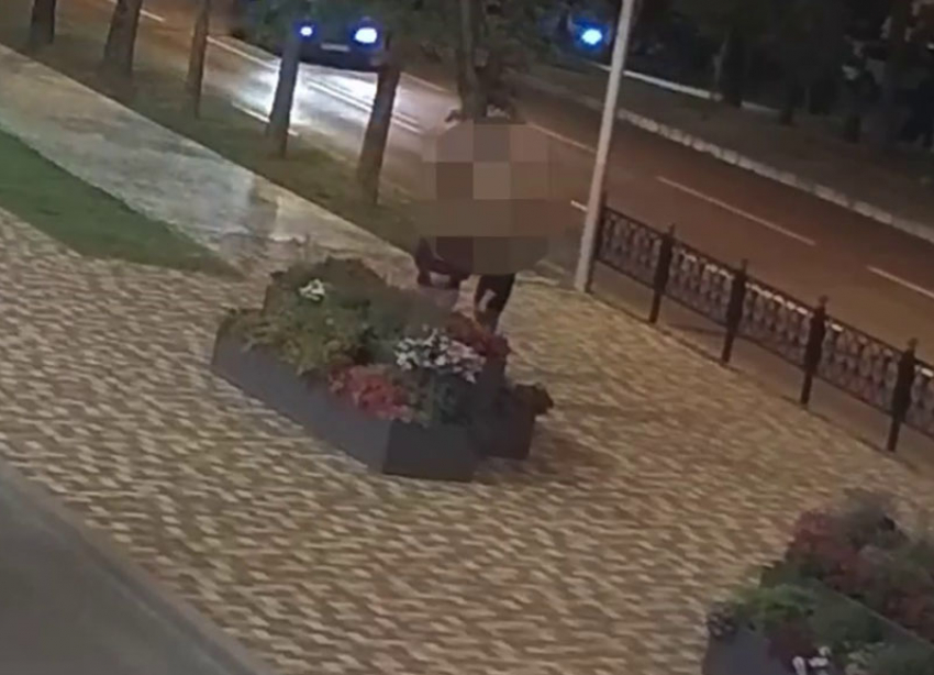 Ночные набеги на клумбы Ставрополя закончились задержанием 42-летнего мужчины 