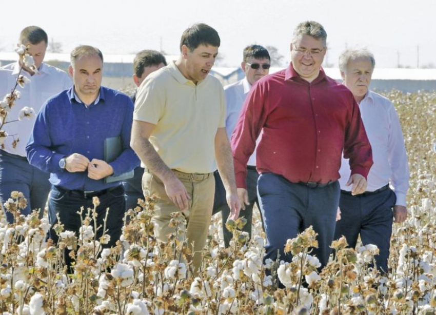 Губернатор Ставрополья вновь отбирает земли у аграриев под «хлопковый» инвестпроект за 12 миллиардов