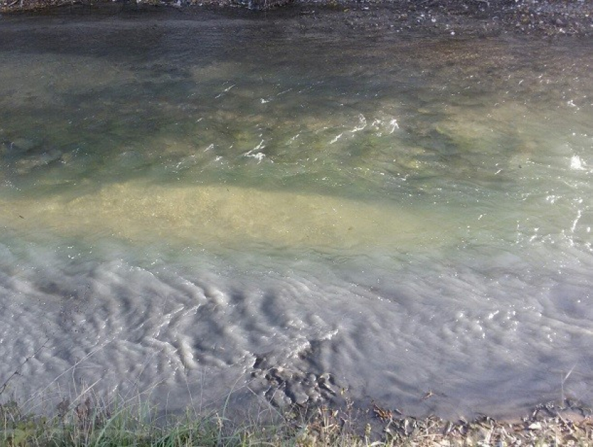Сиреневая вода в реке в Ессентуках заинтересовала Росприроднадзор