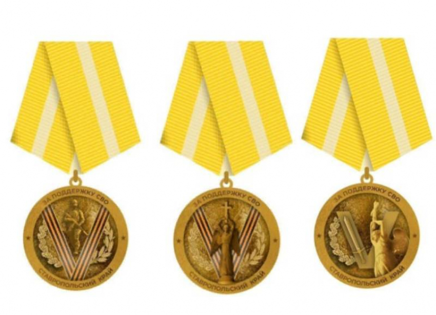 Дизайн медали «За поддержку СВО» предложили выбрать ставропольцам