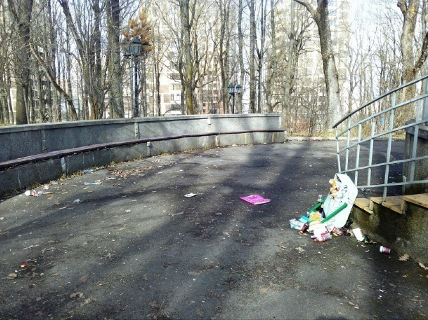 Сквер «зарастает» мусором в центре Ставрополя 