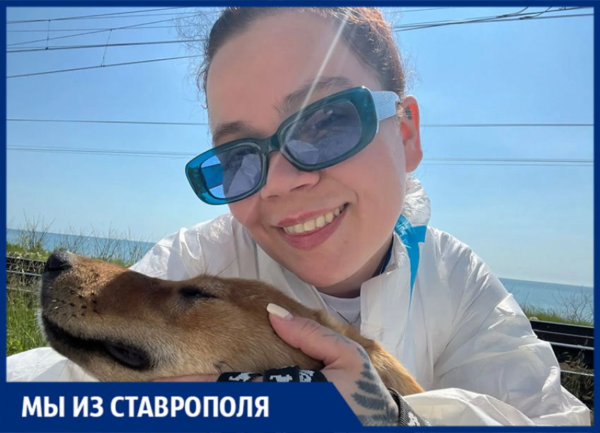 «Отравлены, испачканы мазутом и беззащитны»: ставропольчанка помогает спасать животных после «нефтяного дождя» под Туапсе