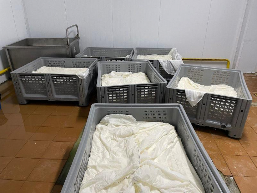 Более 10 новых уголовных дел возбудили в отношении поставщиков молочки с кишечной палочкой в детсады Ставрополя
