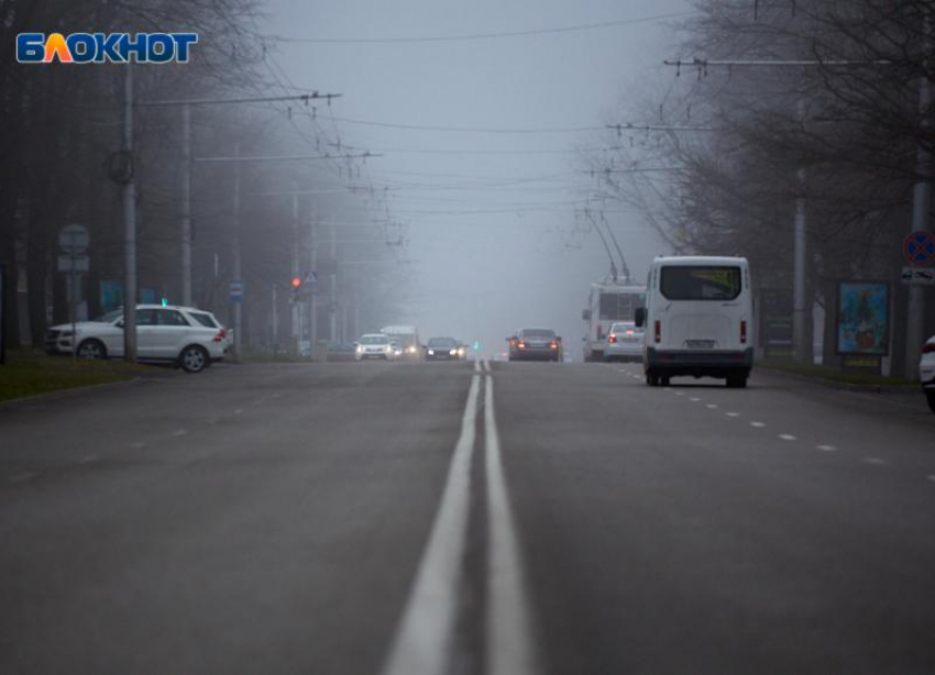 В центре Ставрополя из-за упавшего дерева образовались пробки