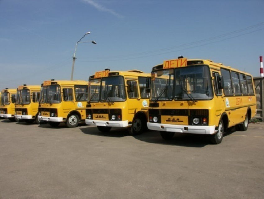 Сразу семь школ получили новые автобусы в Ставрополе 