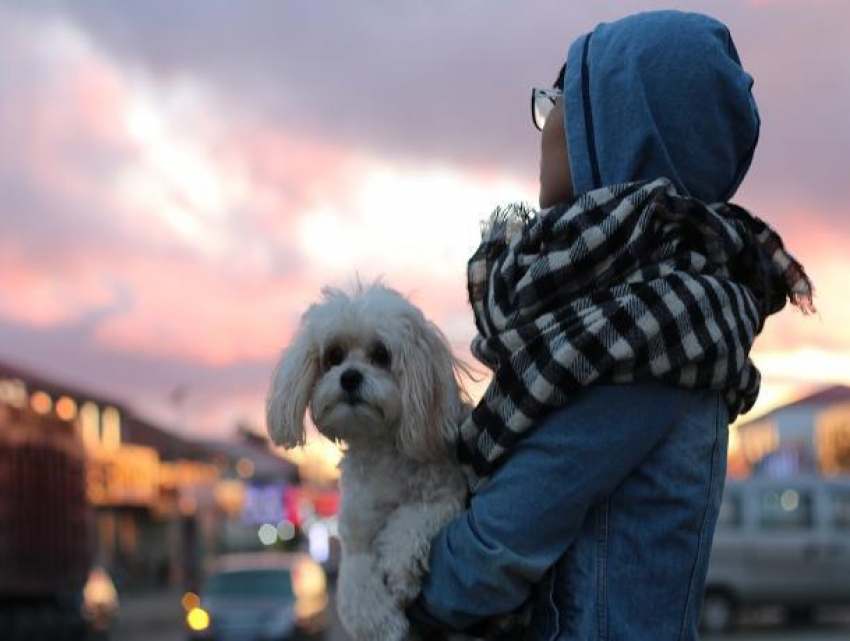 Понедельник в Ставрополе обещает быть теплым и облачным 