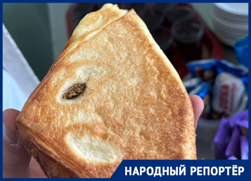 Булочку с тараканом обнаружили в одной из школ Ставрополья