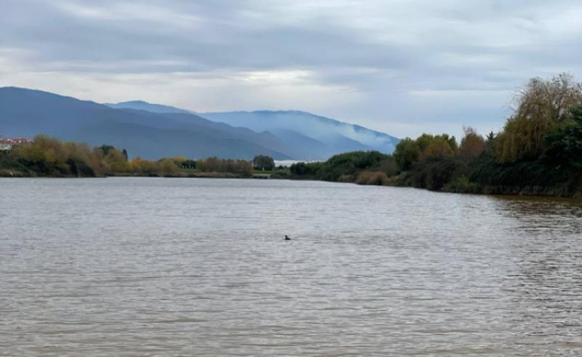 Опасный уровень воды в реке Калаус сохраняется в Ставропольском крае