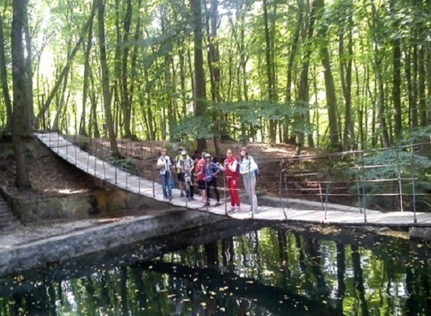 Ставропольские пруды и леса объединят в Эммануэлевскую природоохранную зону