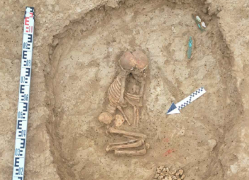 Лепной горшок, скелеты и другие артефакты нашли при раскопках могильника на Ставрополье 
