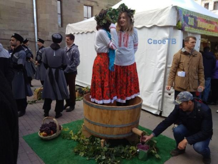На Ставрополье пройдет фестиваль «Молодое вино»