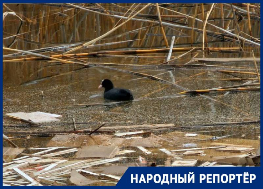 После жалоб власти Михайловска решили убрать строительный мусор в пруд неподалеку