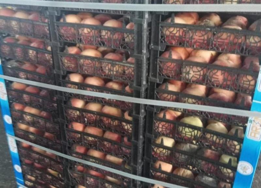 В Пятигорске сожгли больше полутонны санкционных персиков
