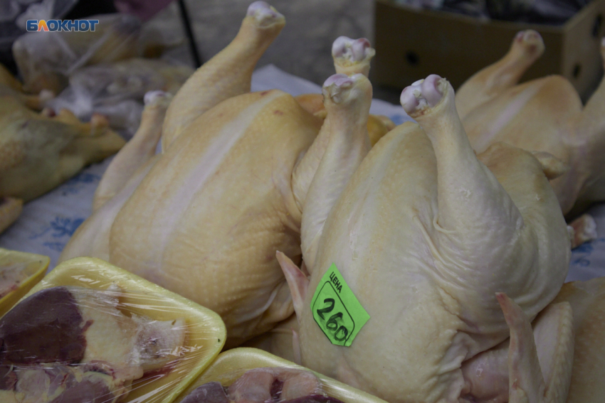 Мясо с сальмонеллой нашли на производстве и в магазине Ставропольского края