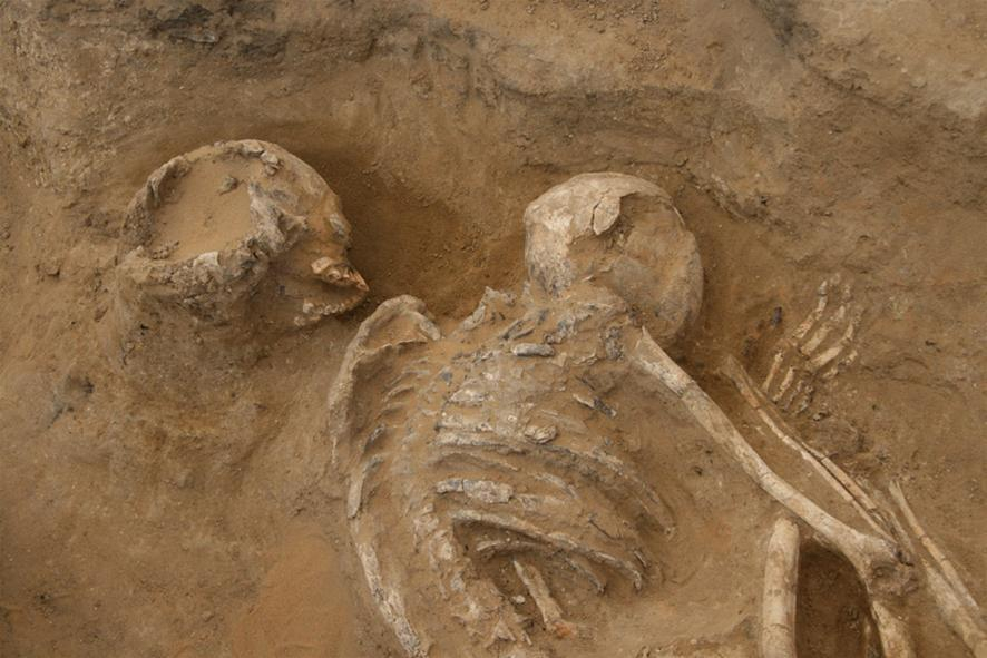 Древнее захоронение найдено на Ставрополье