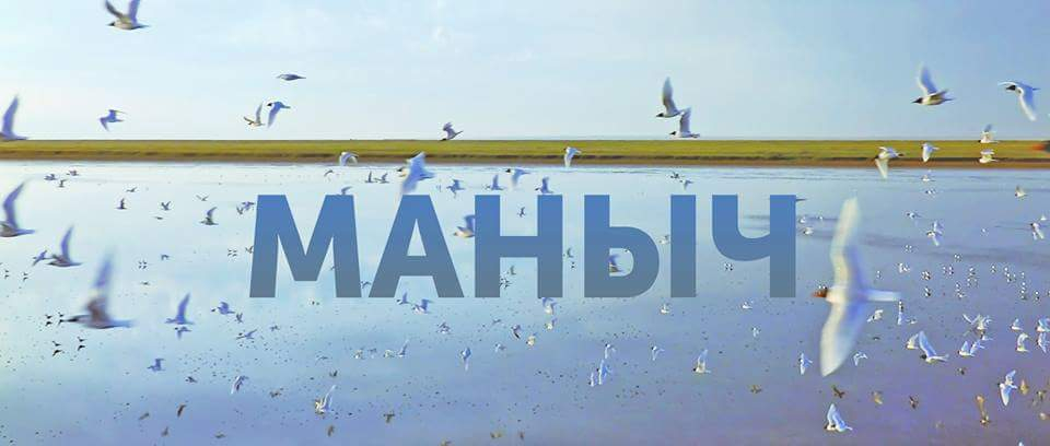Видео, снятое на озере Маныч с высоты птичьего полёта, стало популярным в Интернете