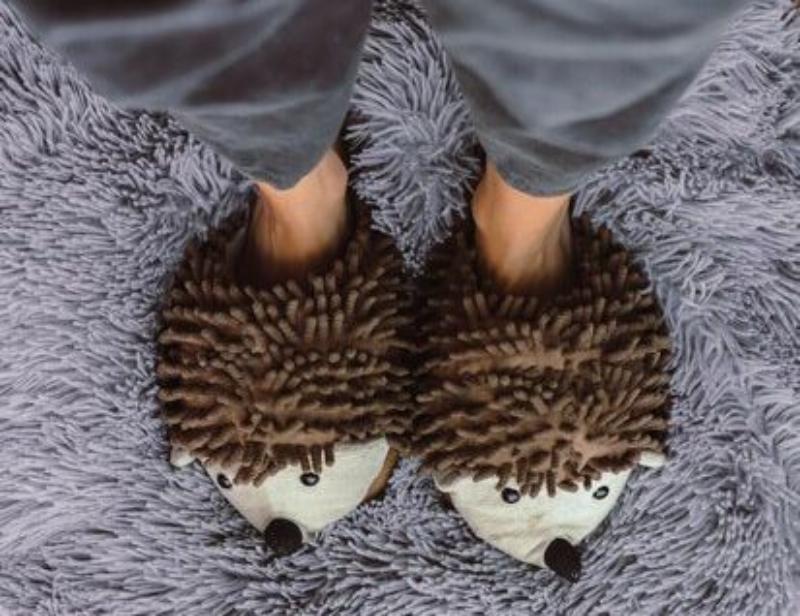 Ladies 2024 hedgehog slippers