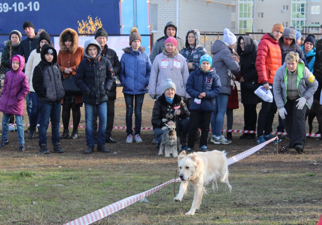 супер пес 6.jpg