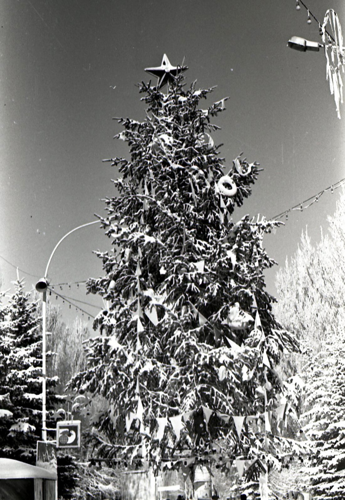 Фото 3. Новогодняя елка в Центральном парке культуры и отдыха. г. Ставрополь, 4 января 1990 г. Автор фото М.П. Колесников..jpg