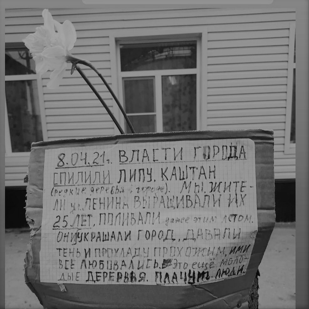 Хозяева природы»: как ставропольские власти уничтожают заповедные земли  региона